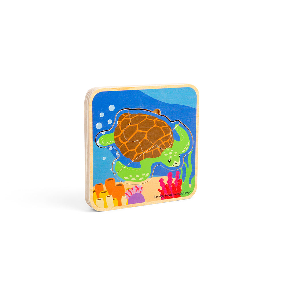 Lifecycle Puzzle Sea Turtle