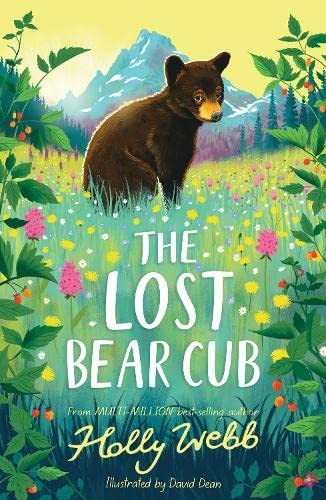 [9781788956062] The Lost Bear Club