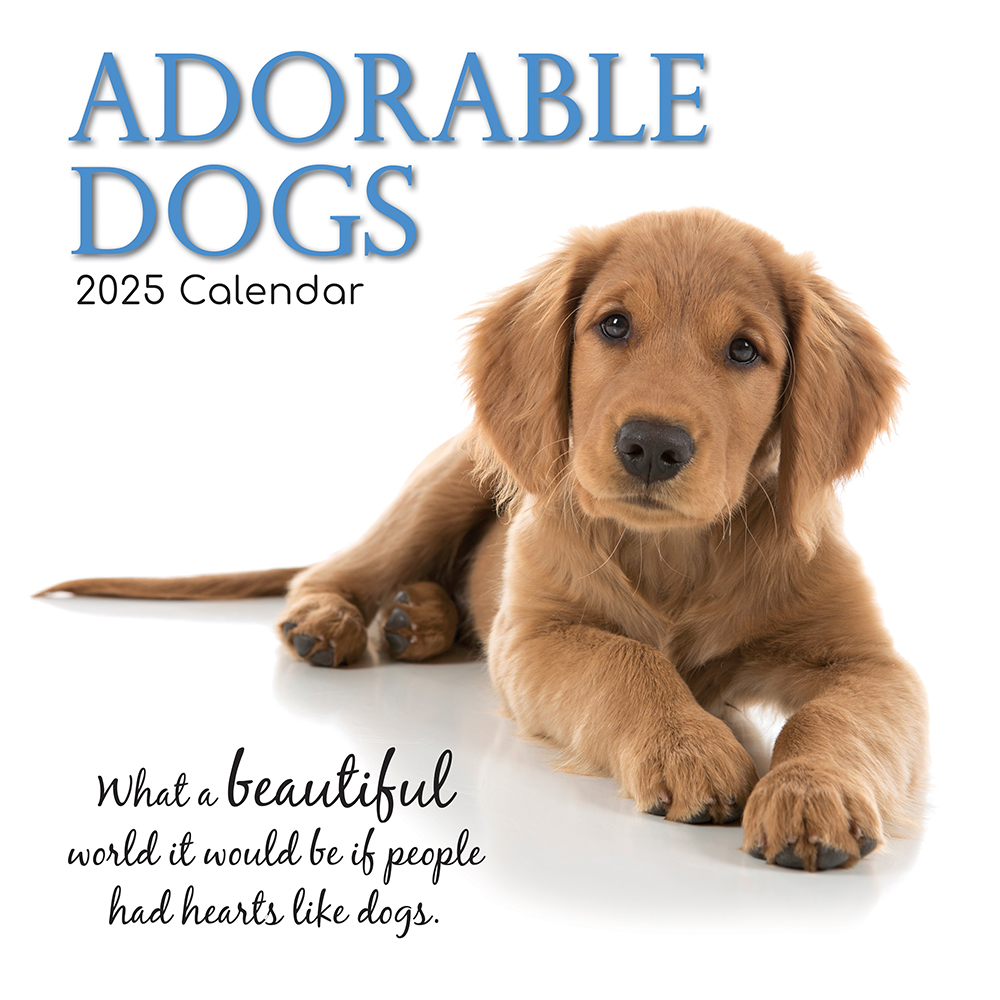 [9781837889037] Calendar 2025 Square Wall - Adorable Dogs
