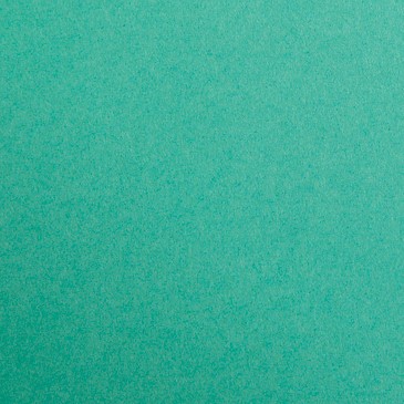 [DNU] Card 50x70cm (A2++) Dark Green 270gsm Clairefontaine