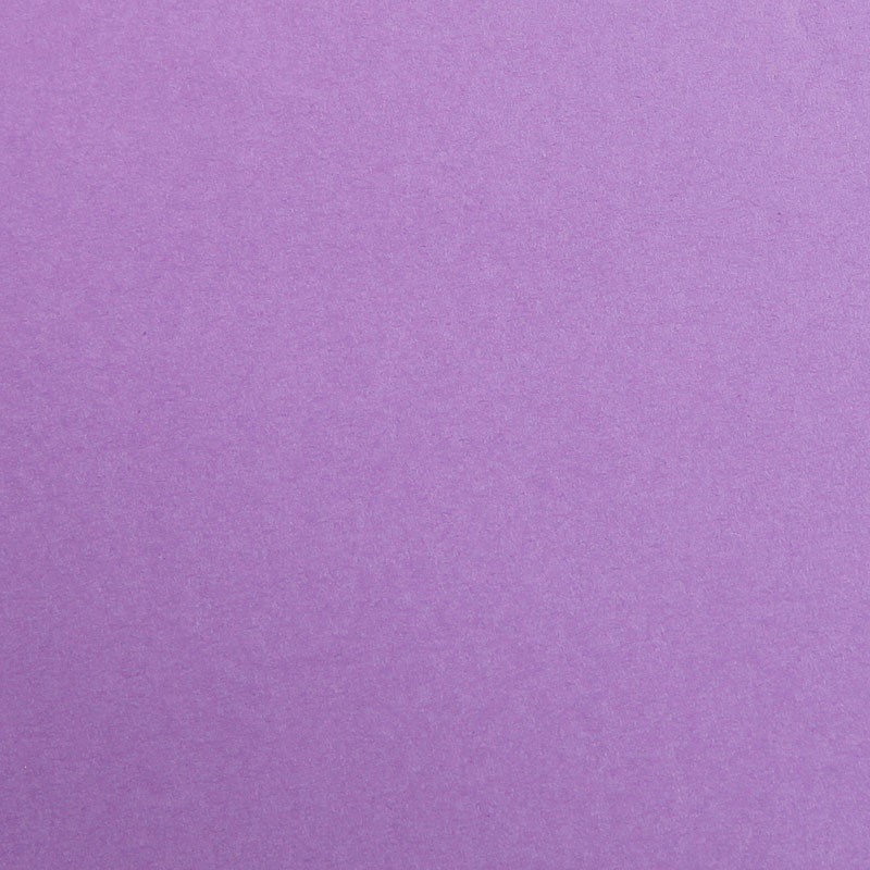[3329680972597] Card 50x70cm (A2++) Purple 270gsm Clairefontaine (Violet)