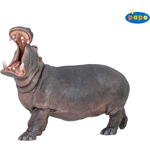 Hippopotomus PAPO