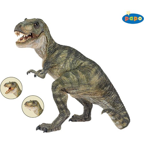 [3465000550011] T-Rex (Brown) PAPO