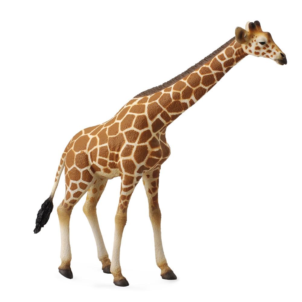 [4892900885346] Giraffe Large