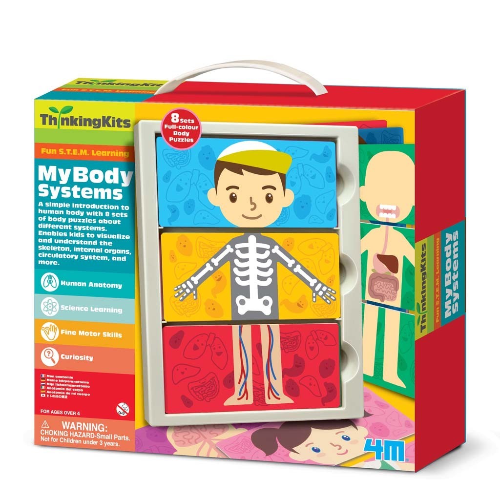 [4893156046925] My Body Systems