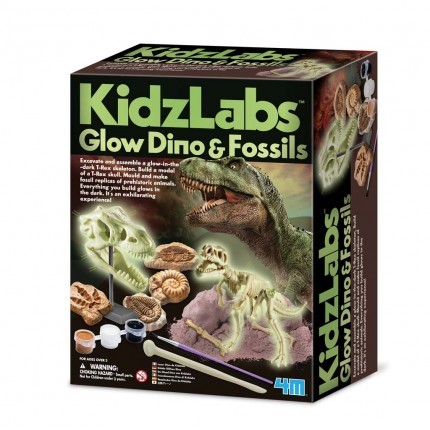 Glow Dino and Fossils (4M Science)