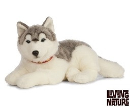 [5037832312112] Giant Husky Dog Plush