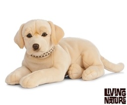 [5037832312150] Giant Golden Labrador Plush