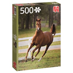 [8710126185384] Puzzle Foal 500 pcs (Jigsaw)