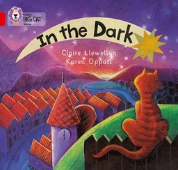 [9780007185528] Big Cat Red 2A In the Dark Non Fiction