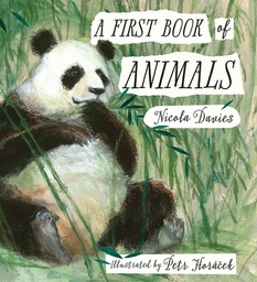 [9781406359633] A First Book of Animals