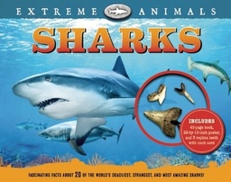[9781626863828] Sharks Extreme Animals