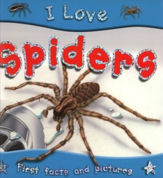 [9781842368244] I LOVE SPIDERS
