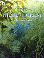 [9781844285181] Hidden Forest (Big Book)
