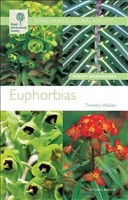 [9781845333768] Euphorbias