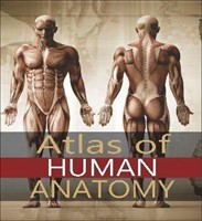 [9781910703007] Atlas of Human Anatomy