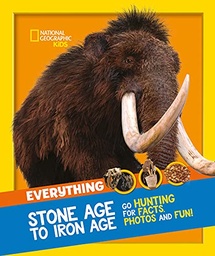 [9780008444747] Everything Stone Age to Iron Age