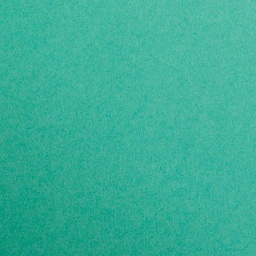 [3329680972511] [DNU] Card 50x70cm (A2++) Dark Green 270gsm Clairefontaine