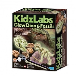 [4893156055286] Glow Dino and Fossils (4M Science)